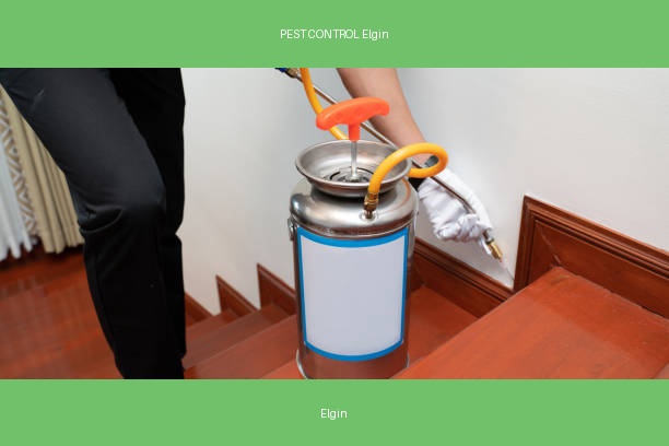 PEST CONTROL Elgin